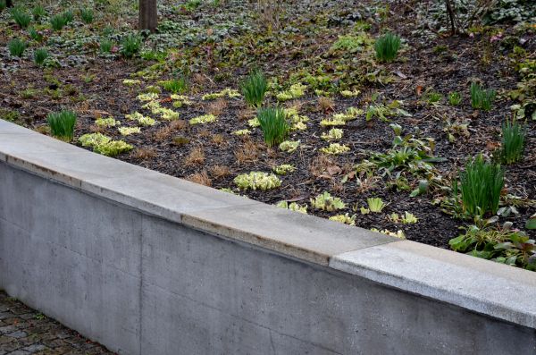 Cost of Concrete Wall Construction in Riverton