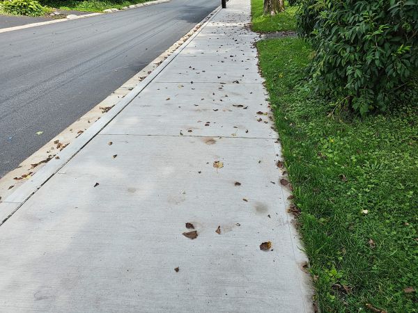 Cost of Sidewalk Renovation in Riverton